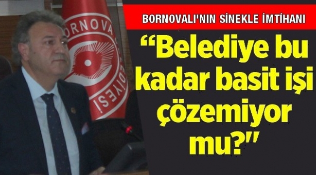 Bornovalının sinekle imtihanı 