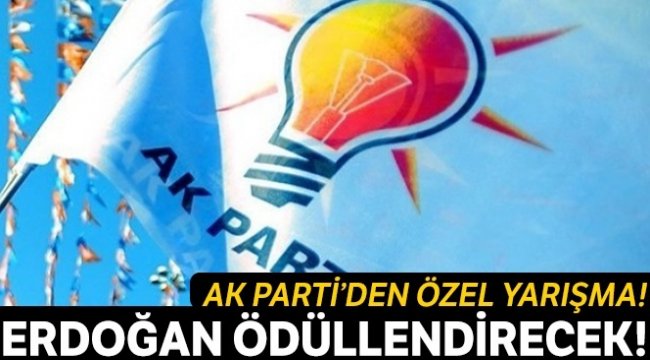 Onlar yazacak Erdoğan ödüllendirecek