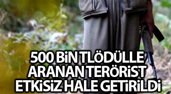 İçişleri Bakanlığı: 'Bitlis'te etkisiz hale getirilen 3 teröristten birinin gri listede yer aldığı belirlendi'