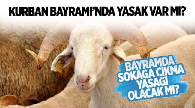 Bayramda Sokağa Çıkma Yasağı Olacak mı ?