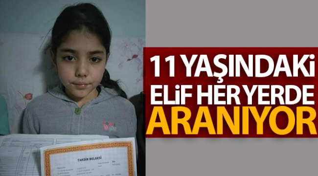 Giresun'un Bulancak ilçesi Semen Yaylası'nda kaybolan Elif her yerde aranıyor