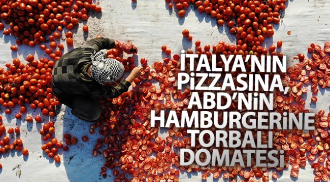 İtalya'nın pizzasına, ABD'nin hamburgerine Torbalı domatesi