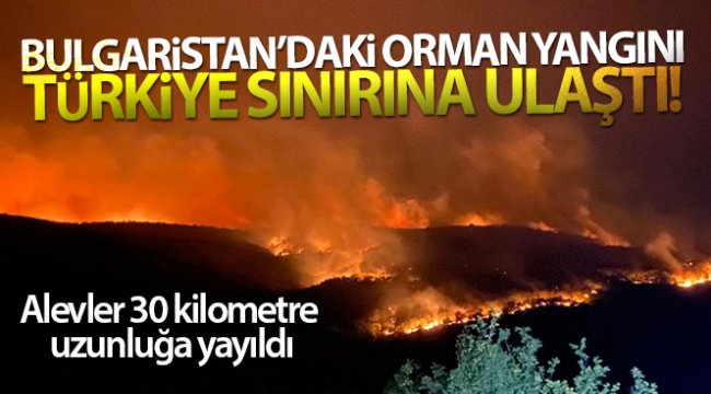 Bulgaristan'daki orman yangını Türkiye sınırına ulaştı