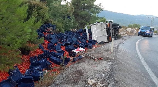 Freni patlayan kamyondan atladı, feci şekilde can verdi