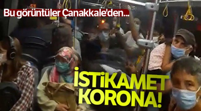 İstikamet korona