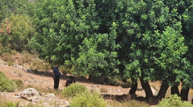 Korkunç olay! 'Dağlık alana gidiyorum' diye evden çıktı, ağaca asılı cesedi bulundu