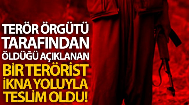 Terör örgütünce öldüğü açıklanan bir terörist ikna yolu ile Jandarmaya teslim oldu