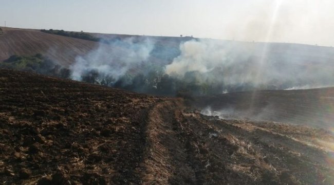 Tarla yangını korkuttu