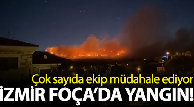 İzmir Foça'da yangın