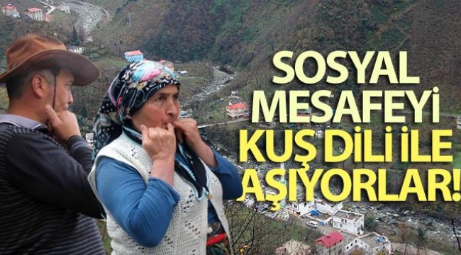 Sosyal mesafeyi Kuş Dili ile aşıyorlar