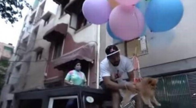 Köpeğini balonlara bağlayarak uçuran Hintli YouTuber tepkilerin odağında