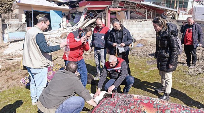 Kahramanmaraş'ta hayvancılık yapanlara destek devam ediyor