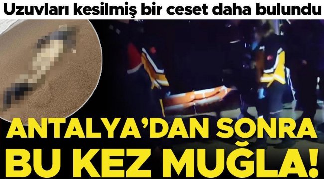 Antalya'dan sonra bu kez Muğla! Uzuvları kesilmiş halde bir kişinin daha cansız bedeni bulundu! Ceset sayısı 7'ye çıktı