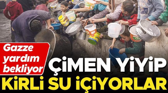 Gazze yardım bekliyor... Çimen yiyip kirli su içiyorlar