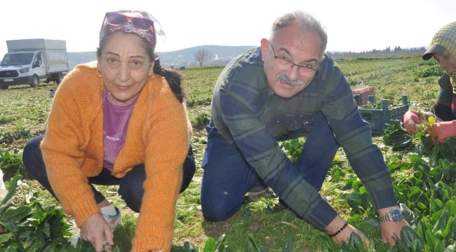 Saadet Partisi Menemen Belediye Başkanı Alptekin'den "Sizi ışıkla gülle ağaçla kandıranlara sakın inanmayın" mesajı 