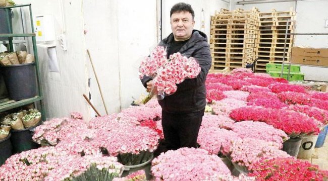 Sevgililer Günü için Antalya'dan Avrupa'ya 7 milyon dolarlık karanfil gönderildi: '14 Şubat' ihracatı