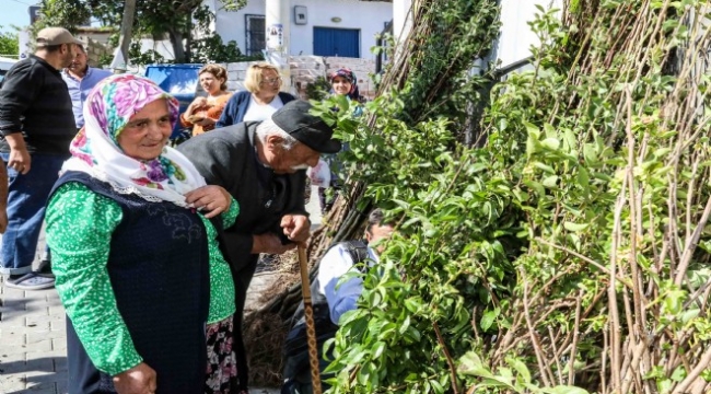 Buca Belediyesi'nden üreticiye fidan desteği