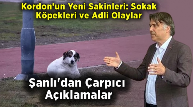 Şanlı'dan Çarpıcı Açıklamalar