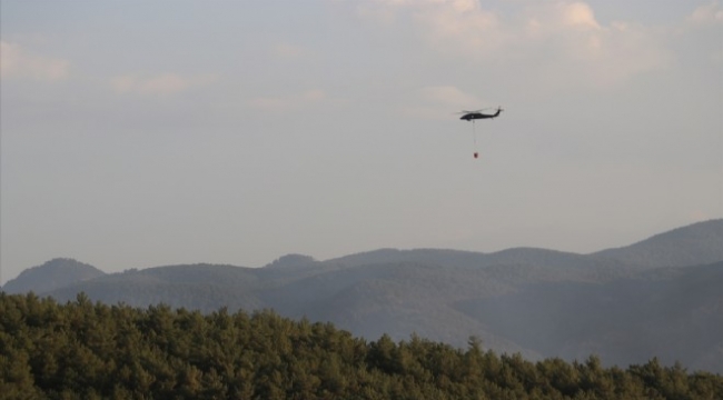 Kütahya'daki yangın kontrol altına alındı