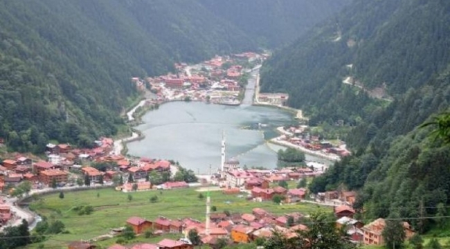 Turistler golf aracıyla Uzungöl'e düştü!