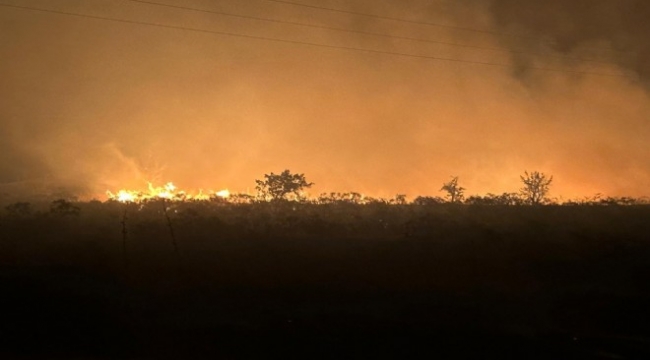 Manisa'da makilik yangını: 35 dönüm zarar gördü!