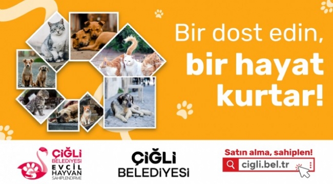 Çiğli Belediyesi can dostlara sahip çıkıyor