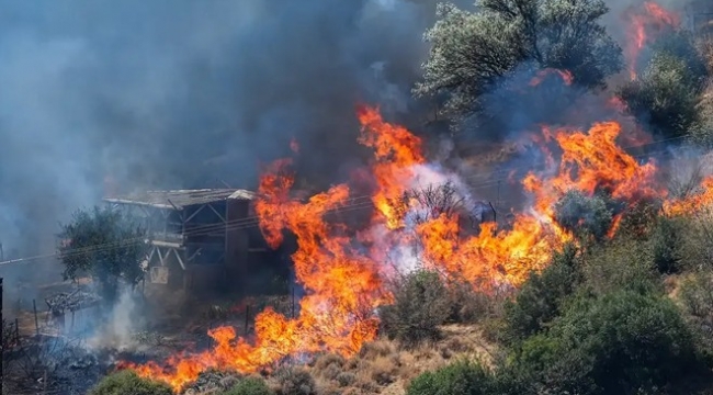 İzmir'i yakan defineciler konuştu: Patlayıcıyla gelen orman yangını!