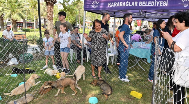 Karabağlar Belediyesi can dostları sahiplendirdi. Can dostlarına yoldaş oldular 