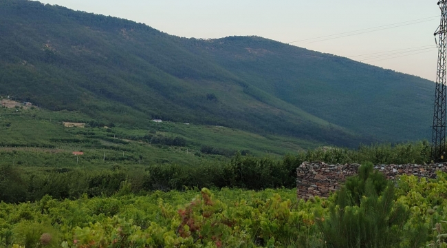 KEMALPAŞA'DA ÇİFTÇİ BAKANLIĞA SESLENİYOR "2B ARAZİ DEVRİNİ YAPIN"