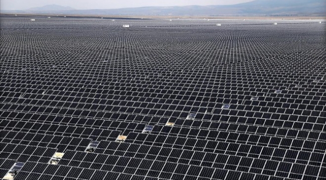 'Enerji tarlası' vaadiyle dolandırıcılık!