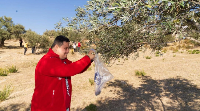 Engelli bireyler zeytin hasadında sosyalleşti