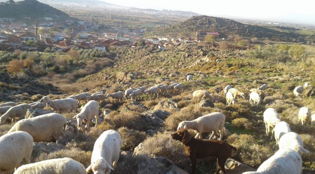 Menemen'de Mera arazisi imara mı açılacak?